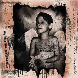Anything Box - Elektrodelica download free