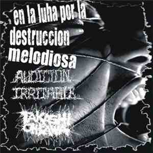 Audición Irritable / Takashi Ohkawa - En La Lucha Por La Destruction Melodiosa download free