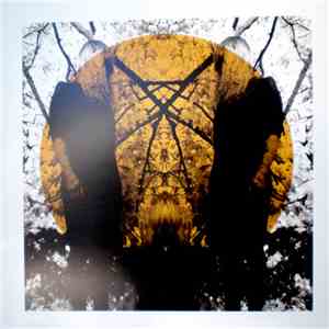 Austra - Feel It Break download free