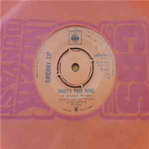 Chicory Tip - What's Your Name download free