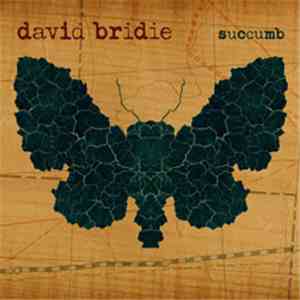 David Bridie - Succumb download free