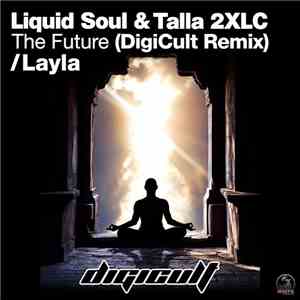 DigiCult - Layla / The Future download free