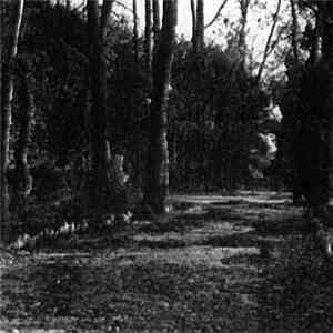 Gorgonian - Let Us Emerge From The Depths download free