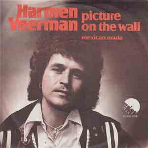 Harmen Veerman - Picture On The Wall download free