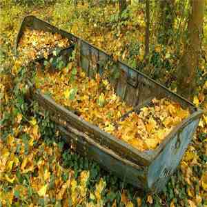 Mathias Grassow - Chullachaqui - Empty Shells​.​.​.​.​. download free