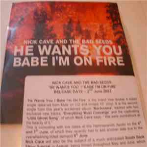 Nick Cave And The Bad Seeds - He Wants You / Babe, I'm On Fire download free