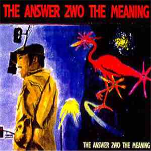 Scarub - The Answer 2wo The Meaning download free
