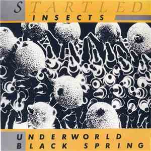 Startled Insects - Underworld / Black Spring download free