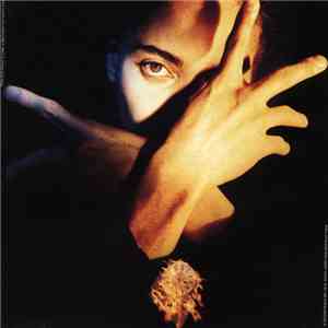 Terence Trent D'Arby - Terence Trent D'Arby's Neither Fish Nor Flesh: A Soundtrack Of Love, Faith, Hope, And Destruction download free