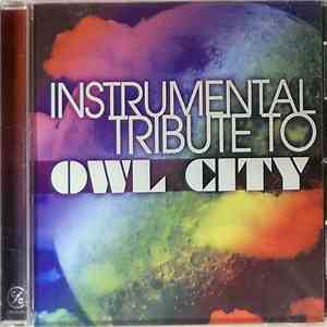 The Cover All Stars - Instrumental Tribute To Owl City download free