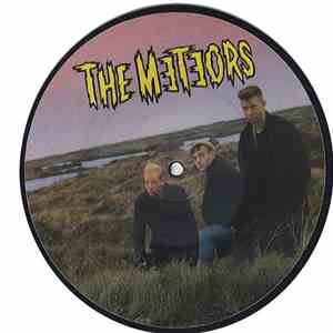 The Meteors  - Johnny Remember Me download free