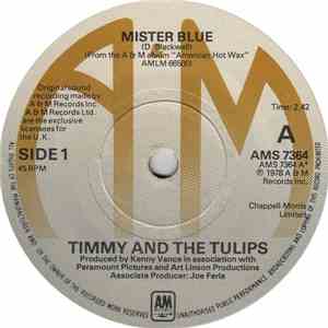Timmy And The Tulips / The Chesterfields - Mr Blue / Why Do Fools Fall In Love download free