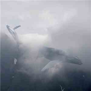 TIR - Clima download free