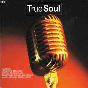 Various - True Soul download free