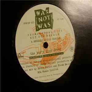 Was (Not Was) - Boy's Gone Crazy (A Severely Edited Version) download free